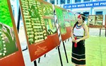 Đà Nẵng trưng bày hình ảnh văn hóa đồng bào Co giữa vùng cao Trà Liên