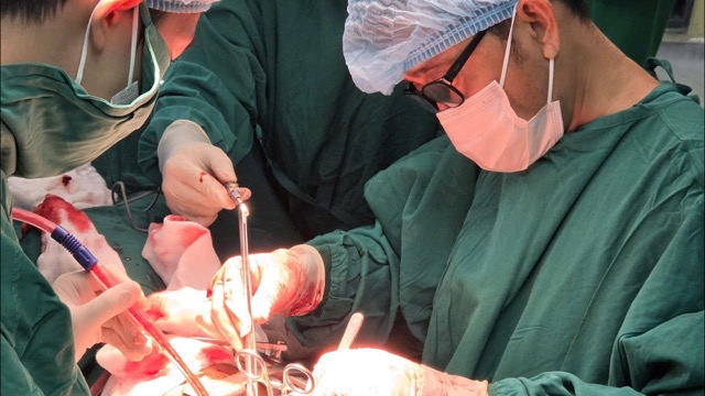 The patient was successfully operated on by the doctor. Photo: BVCC