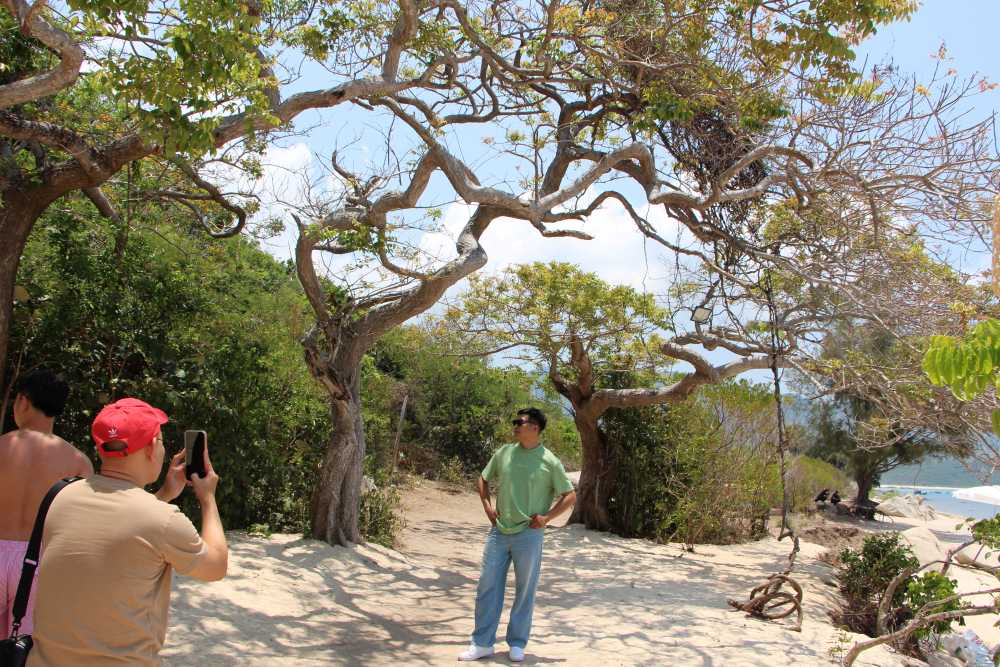 Tourists coming to Khanh Hoa excitedly capture beautiful angles at the newly emerging destination in Ninh Van. Photo: Phuong Linh