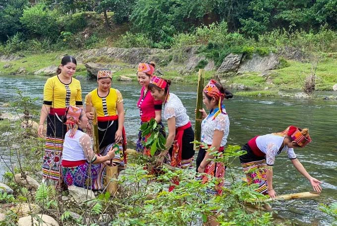 Chị em phụ nữ dân tộc Thái (xã Bình Chuẩn, tỉnh Nghệ An) đi rửa lá chè xanh để chuẩn bị giã nhỏ lấy nước cốt sau khi đi hái lá chè xanh ở những cây chè cổ trong đại ngàn Pù Huống. Ảnh: TTXVN phát