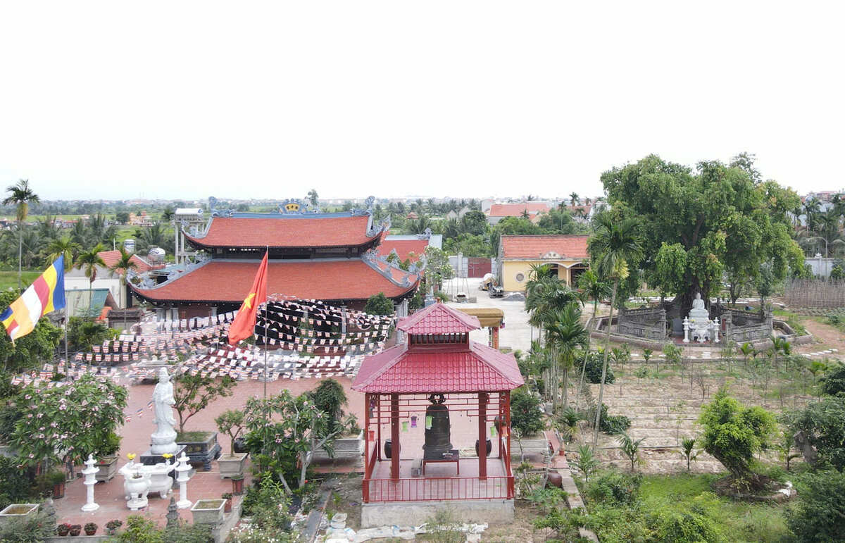 Cây bồ đề nằm bên phải khuôn viên chùa Hưng Linh. Từ xa nhìn lại, cây có tán lá xoè rộng, xanh tươi, tạo cảnh quan thanh tịnh khi du khách đến chùa chiêm bái. Ảnh: Nguyễn Huệ