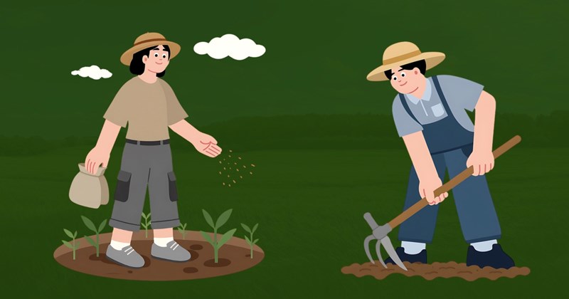 Ninh Bình tuyển lao động thời vụ sang Hàn Quốc