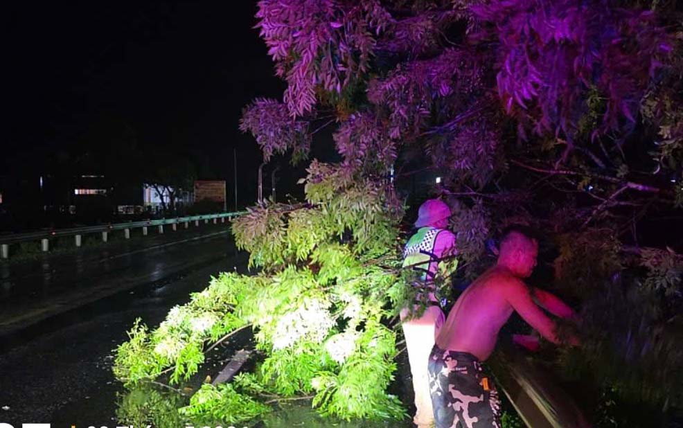 On the evening of May 3, ha Tinh experienced hail, thunderstorms, and fallen trees. Photo: Hoang Anh
