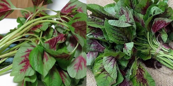 Cooling the liver with summer vegetables. Photo: Bach Cuc