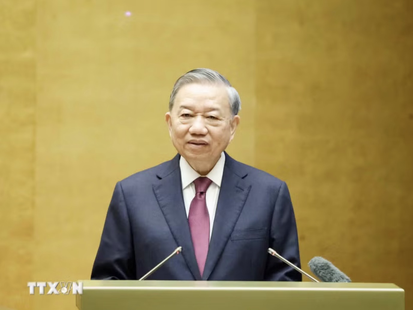 General Secretary, President To Lam. Photo: VNA