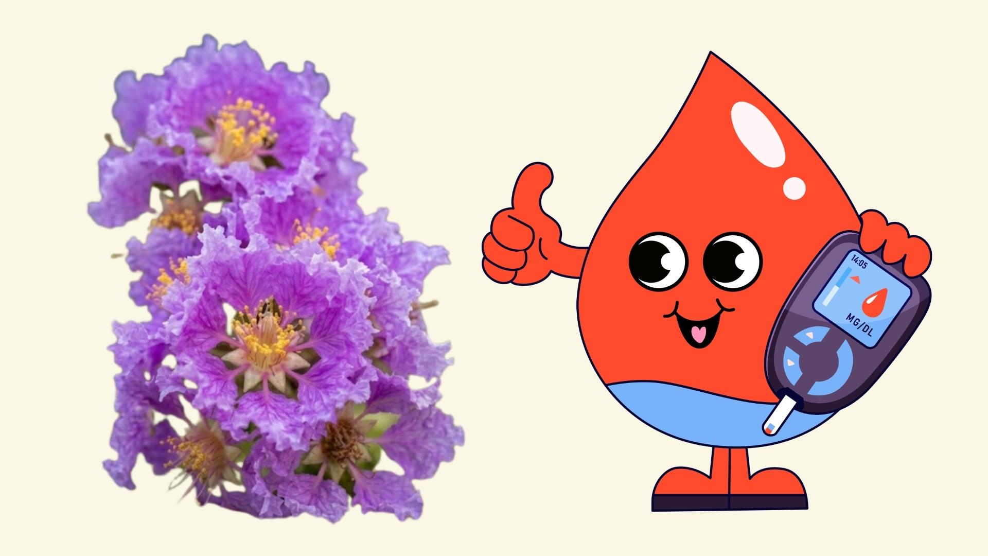 Supporting blood sugar control with blooming plants in the summer. Graphics: Linh Dan