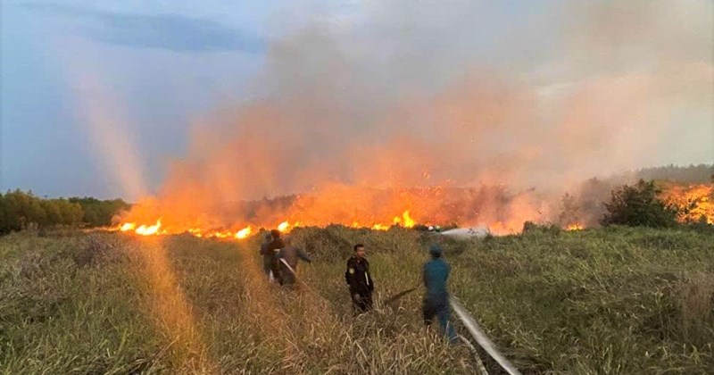 Lâm Đồng: Hai vụ cháy rừng trong kỳ nghỉ, thiệt hại hơn 10 ha