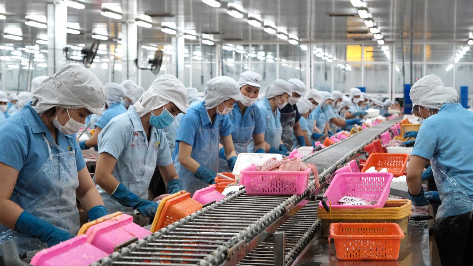 Strengthening connections with fisheries associations in the East Sea region is expected to expand the export market for Vietnamese seafood.