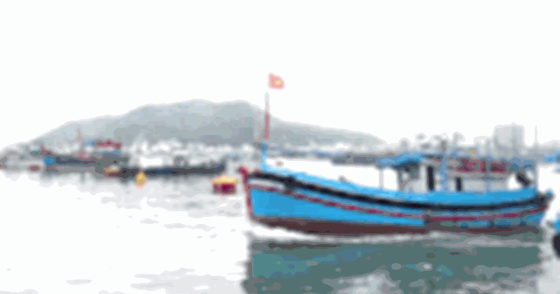 Kết nối ngành cá biển, mở ra cơ hội mới cho thủy sản Việt