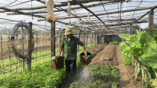 Tay Tuu people proactively prevent heat for crops