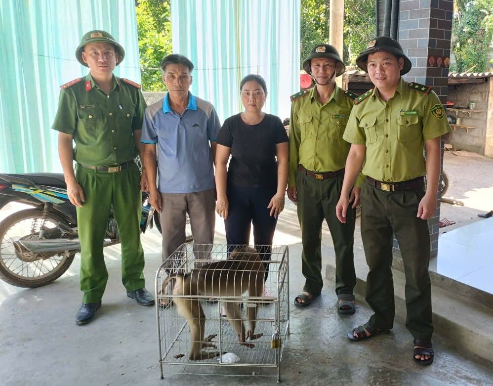 People hand over gold monkeys to functional forces. Photo: Truong Phu Commune Police