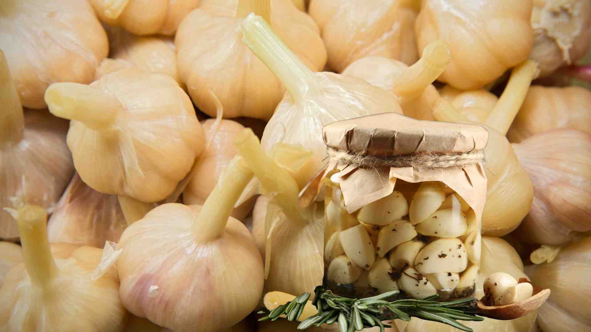 Pickled garlic, if eaten a lot, can lead to bloating and indigestion. Graphic photo: Huong Son