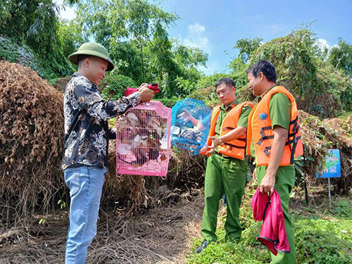 35 wild birds released back into nature in Co Island (Hai Phong). Photo: Hai Phong Police