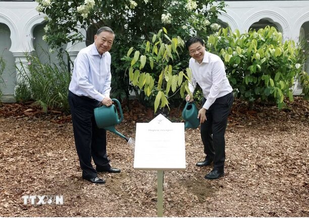 General Secretary and President To Lam and Singaporean Prime Minister Lawrence Wong plant memorial trees. Photo: VNA