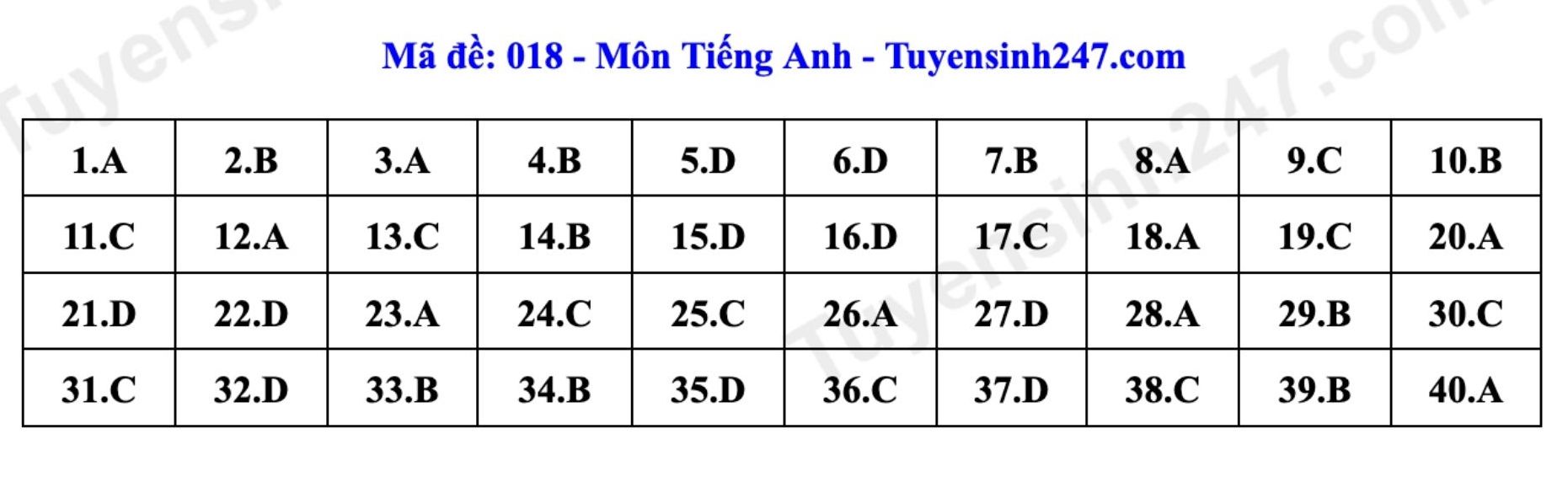 Đáp án tham khảo đề thi môn tiếng Anh vào lớp 10 tại Hà Nội mã 018 năm 2026. Ảnh: Tuyensinh247