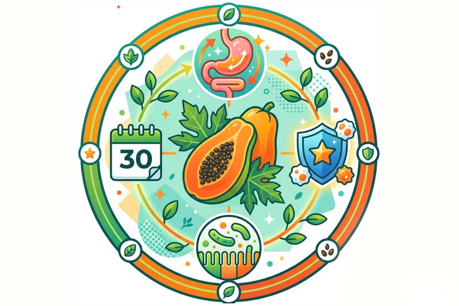 Health benefits of maintaining papaya consumption for a month. Graphics: Thien Nhan