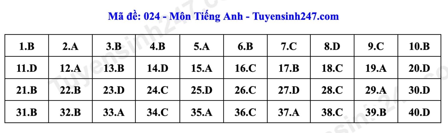 Đáp án tham khảo đề thi môn tiếng Anh vào lớp 10 tại Hà Nội mã 024 năm 2026. Ảnh: Tuyensinh247