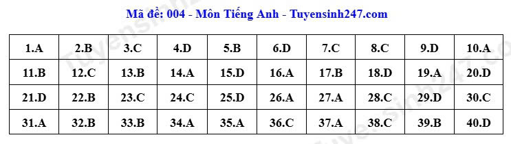 Đáp án tham khảo mã đề 004 môn tiếng Anh thi vào lớp 10 ở Hà Nội năm 2026. Ảnh: Tuyensinh247