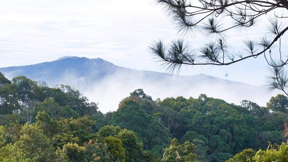 Village community in Mang Den commune fined for letting forests be encroached upon. Photo: Thanh Tuan