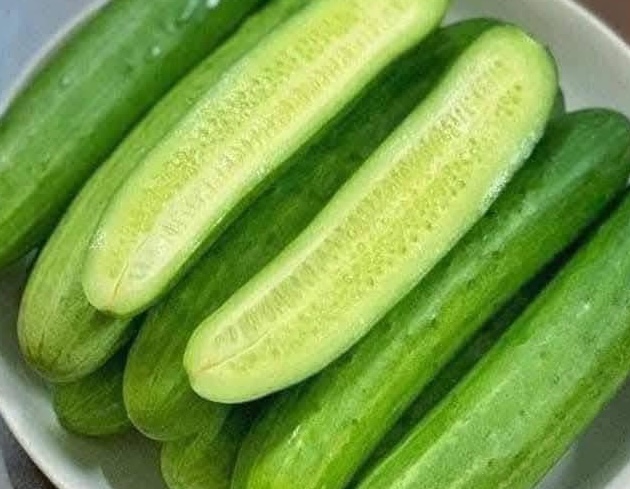 Cucumber is said to have good effects for people with type 2 diabetes. Photo: Kieu Vu