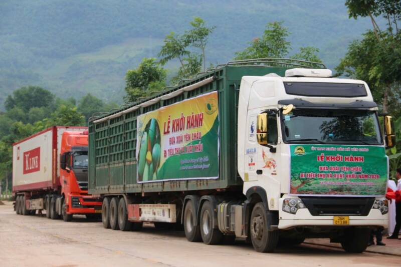Lễ khởi hành xuất khẩu xoài Yên Châu sang thị trường Hàn Quốc. Ảnh: Hà Hoàng