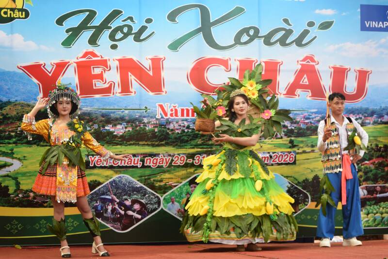Du khách trải nghiệm vườn xoài tròn Yên Châu và phần thi thiết kế và trình diễn trang phục chủ đề nông nghiệp. Ảnh: Trường Sơn