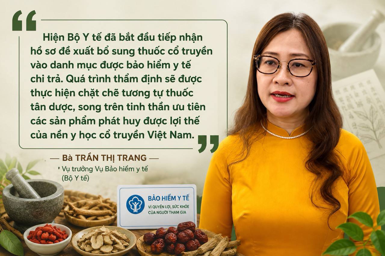 Đồ họa: Thùy Linh