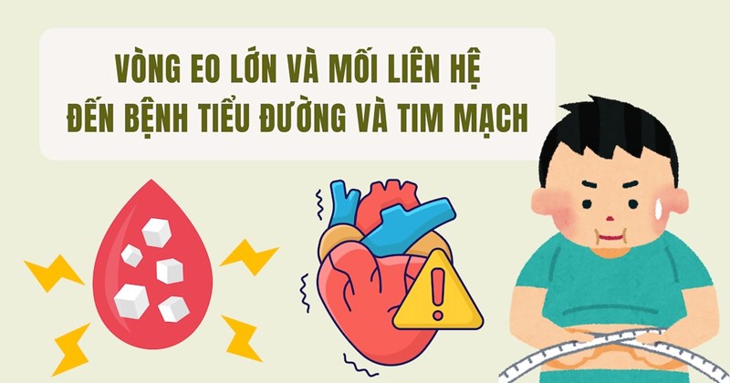 Vòng eo lớn liên quan đến tiểu đường, bệnh tim mạch
