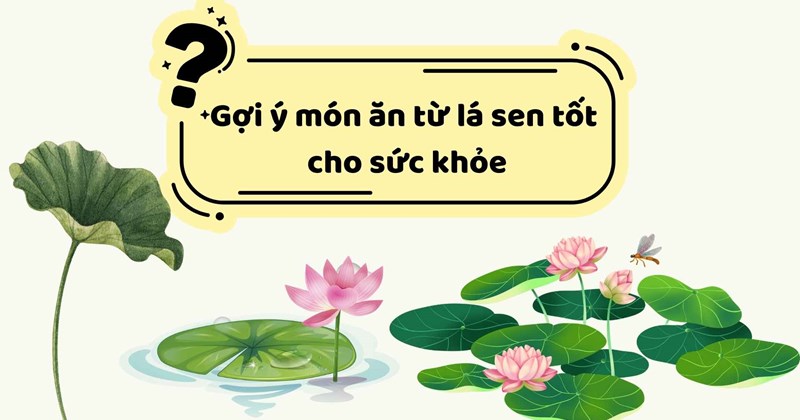 Gợi ý món ăn từ lá sen tốt cho sức khỏe