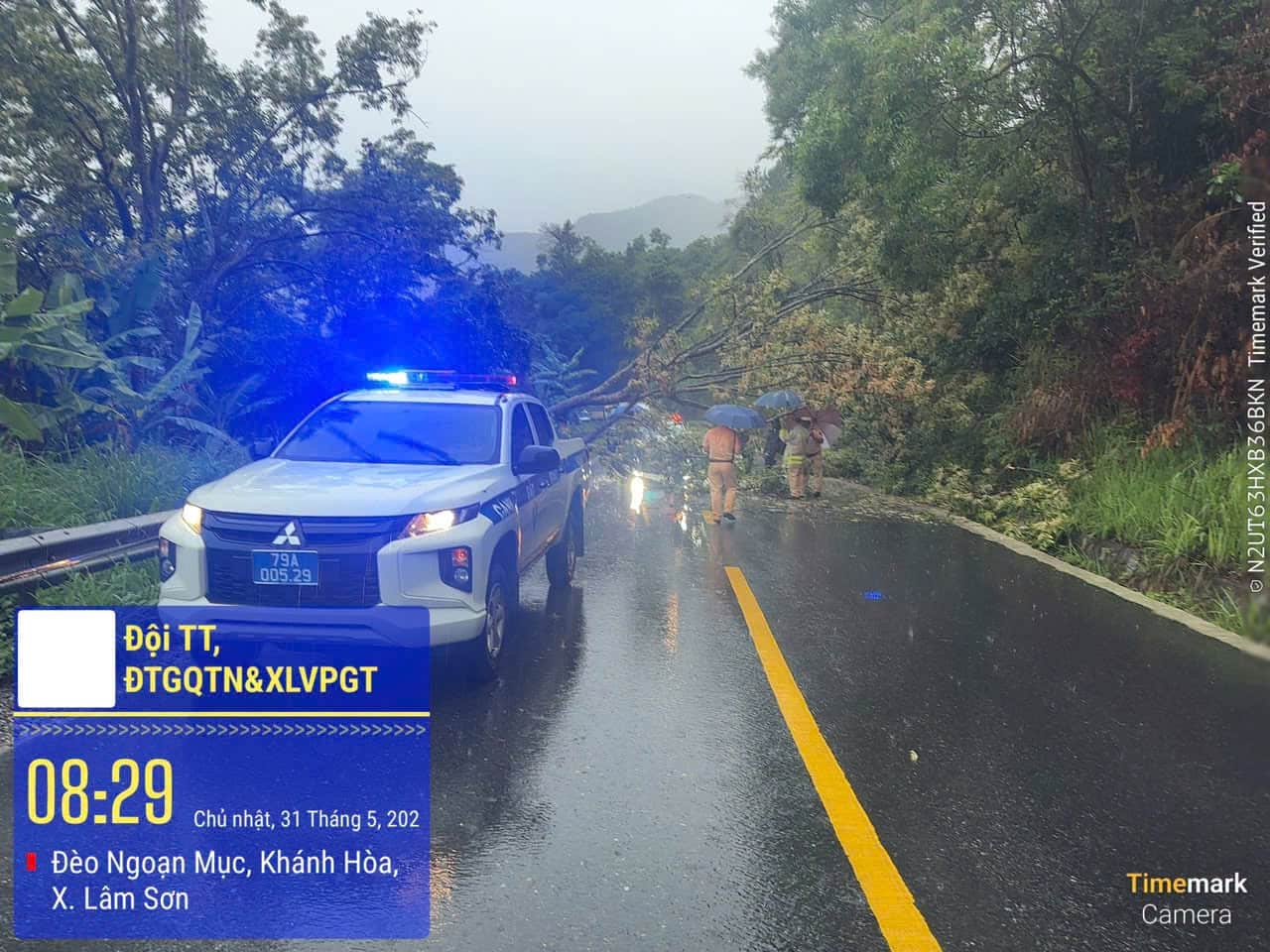 Khanh Hoa Traffic Police clear fallen trees in prolonged heavy rain. Photo: Police provided
