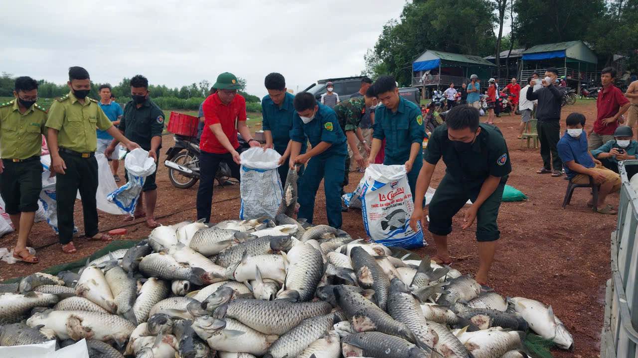 Lực lượng chức năng phường Trị An, thành phố Đồng Nai hỗ trợ người dân vớt cá chết đưa vào bờ, điều tra nguyên nhân. Ảnh: HAC