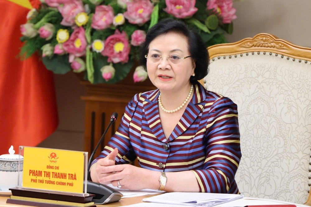 Secretary of the Party Central Committee, Deputy Prime Minister Pham Thi Thanh Tra is the Head of the National Steering Committee for Development of Vietnam's Pharmaceutical Industry. Photo: VGP