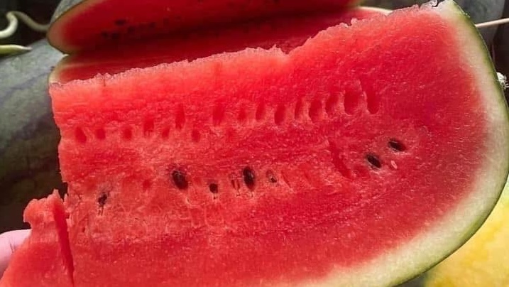 Watermelon is said to be a fat-burning and weight loss fruit. Photo: Kieu Vu