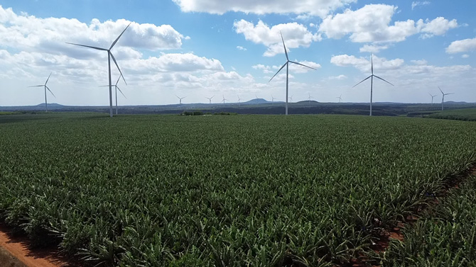 Large-scale wind power project field in Gia Lai. Photo: Thanh Tuan