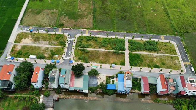 Preventing the situation of taking advantage of auctions for profit. Photo: Cao Nguyen