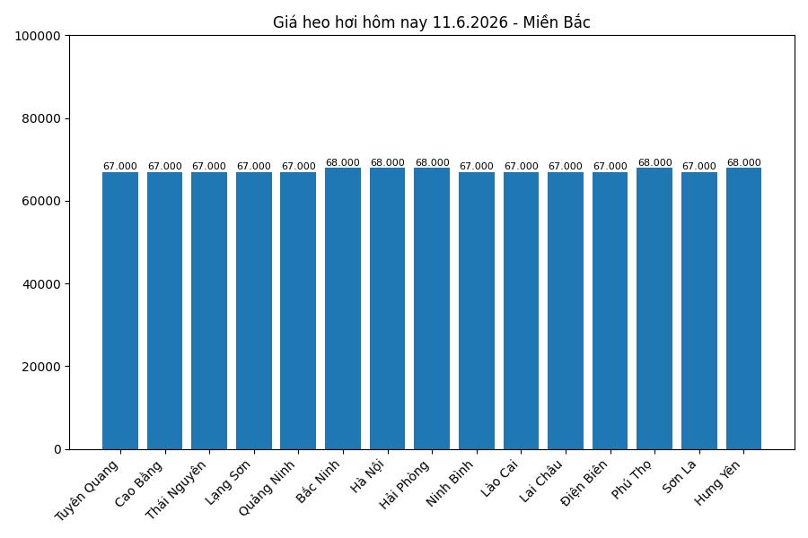 Giá heo hơi hôm nay 11.6 tại khu vực miền Bắc. Đồ họa: Thùy Linh