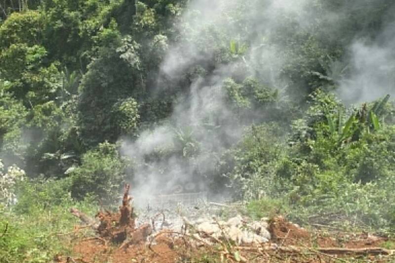 A cement truck plunged into a ravine at Km46 of provincial road 105, in Mat village, Muong Leo commune, Son La province, injuring 6 people. Photo: Hoang Truong