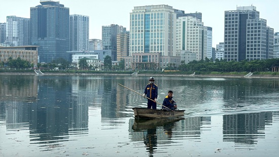 Cau Giay jointly handles dead fish at CV1 Park lake. Photo: Cong Trinh
