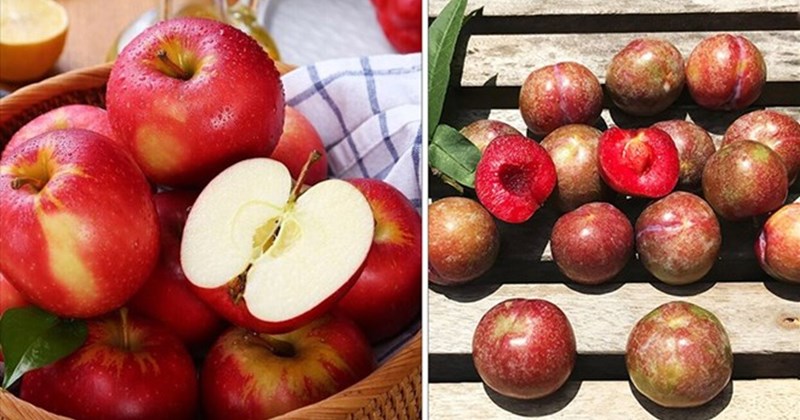 Dinh dưỡng cho trẻ em: Không chỉ ăn đủ