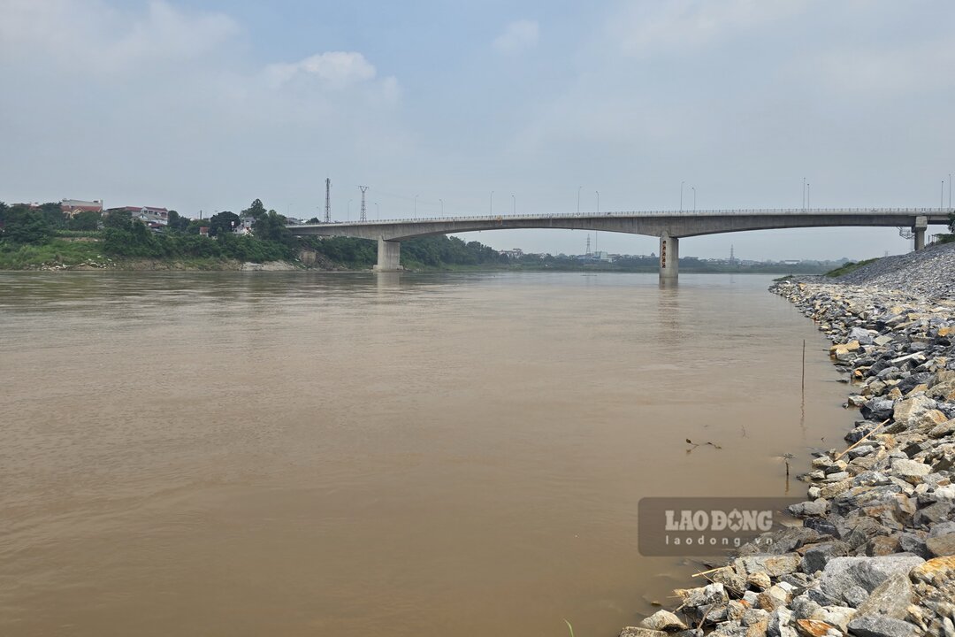 Red River in the Phong Chau bridge area on June 1. Photo: To Cong