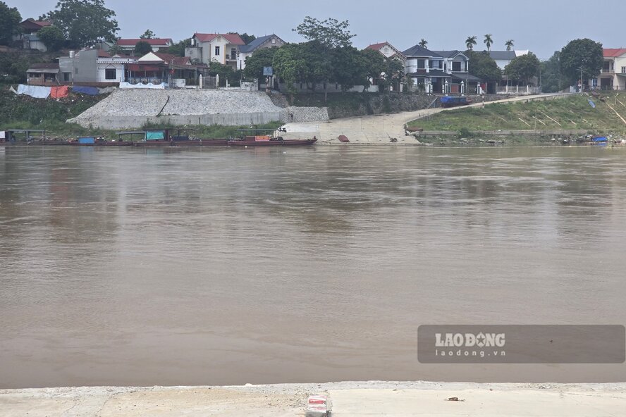 Mực nước sông Hồng đoạn qua địa bàn xã Tam Nông đã lên, dòng nước đục ngầu, chảy xiết. Ảnh: Tô Công