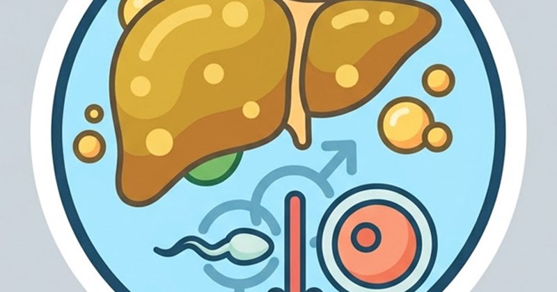Gan nhiễm mỡ làm giảm khả năng sinh sản nếu không kiểm soát