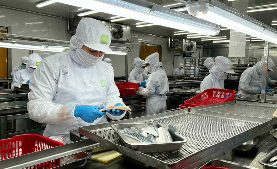 AI applications help businesses automate many production stages, shorten time and significantly reduce costs. Photo: Ngoc Le