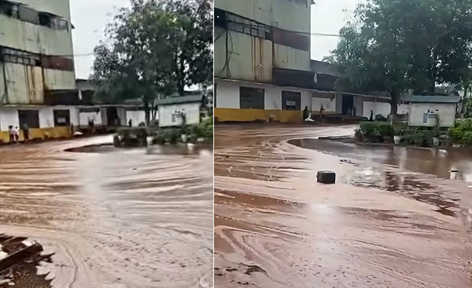 A large amount of sugarcane seed spilled out of the sugar factory premises after the storage tank was struck by lightning. Photo: Manh Hung
