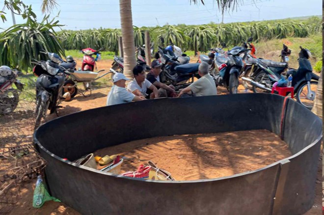Triệt phá vụ đá gà ăn tiền trong khu dân cư ở Lâm Đồng