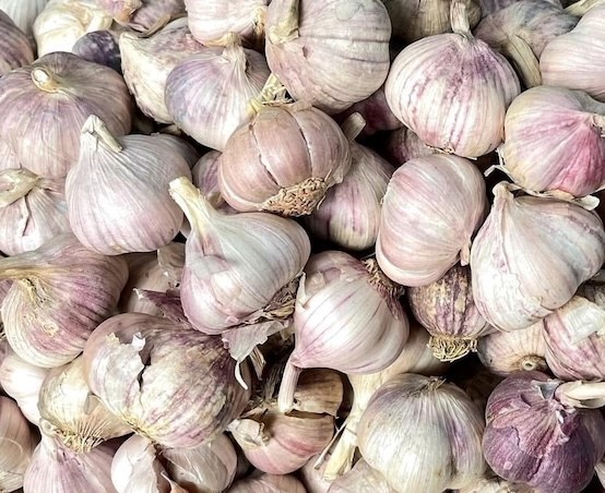 Eating too much raw garlic can cause stomach irritation and bloating. Photo: Kieu Vu