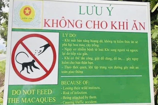 Tourist warning sign not to feed wild monkeys at Con Dao National Park. Photo: VQGCĐ