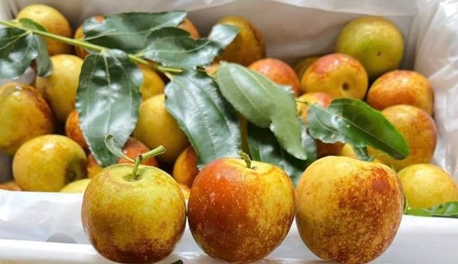 リンゴの葉は抗酸化作用と抗炎症作用があり、肝臓を冷やし、肝臓を解毒するのに役立ちます。写真:アン・アン.