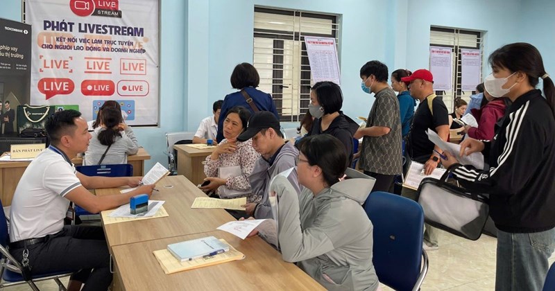 Hải Phòng tổ chức 35 phiên giao dịch việc làm trong 4 tháng năm 2026