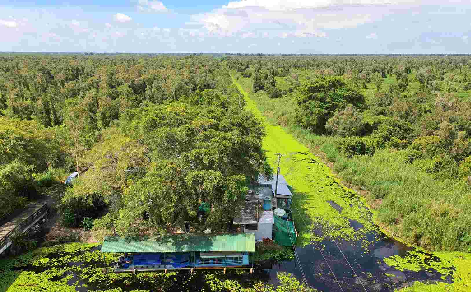 A corner of U Minh Ha National Park, Ca Mau. Photo: Nhat Ho.